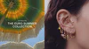 Design Your Perfect Earscape®